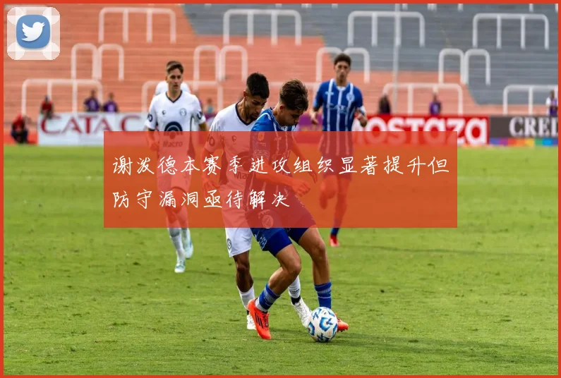 谢泼德本赛季进攻组织显著提升但防守漏洞亟待解决