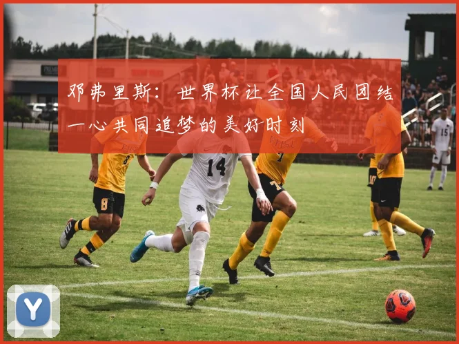 邓弗里斯：世界杯让全国人民团结一心共同追梦的美好时刻
